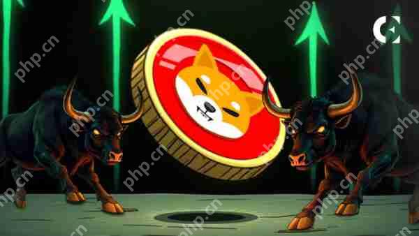 Shiba INU（SHIB）价格预测：湿布很快就会增加500％以上，达到$ 0.0001